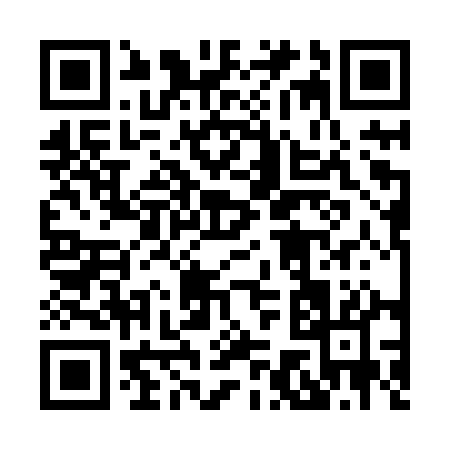 QR code for 8738Q