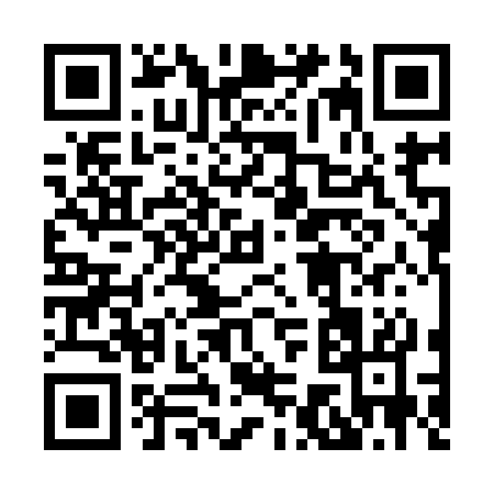 QR code for 87393