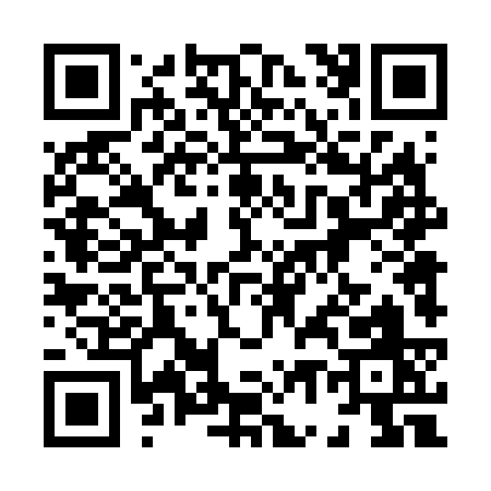 QR code for 87463