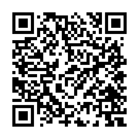 QR code for 87564