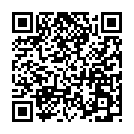 QR code for 87594