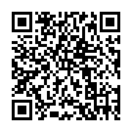 QR code for 8991P