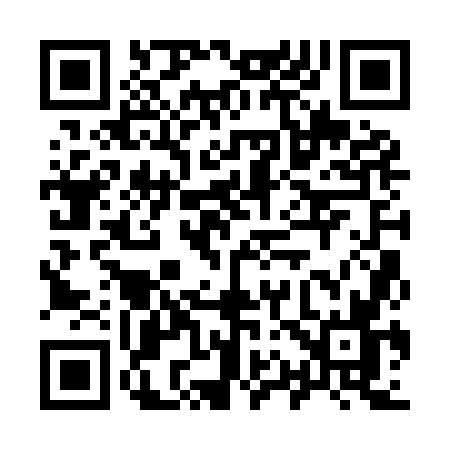 QR code for 9119