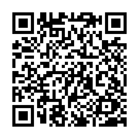 QR code for 919N