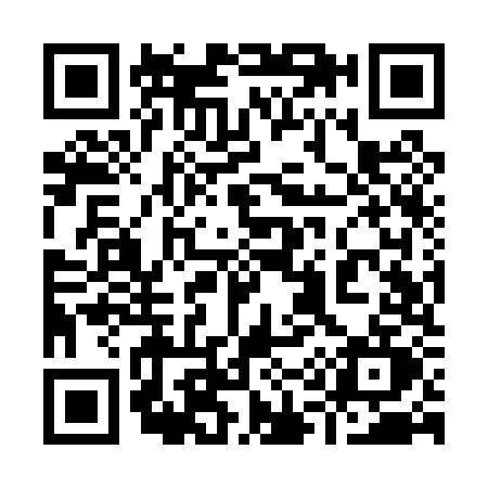QR code for 919P