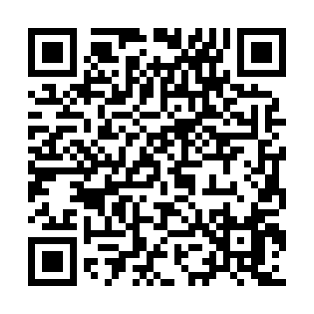 QR code for 95381