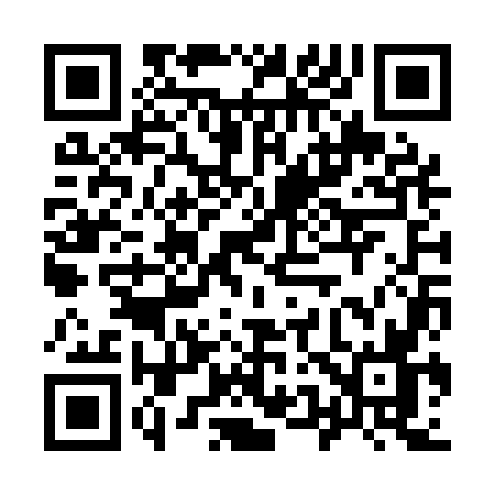 QR code for 953Q