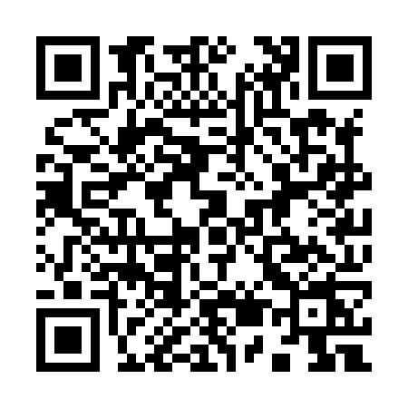 QR code for 953X
