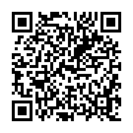 QR code for 9541