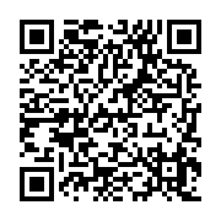 QR code for 95493