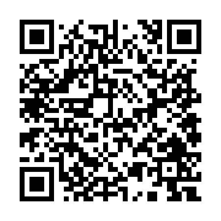QR code for 95656