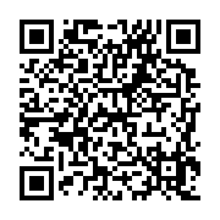 QR code for 95838