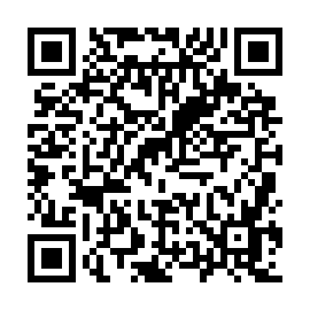 QR code for 9593