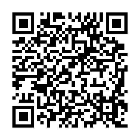 QR code for 9593L