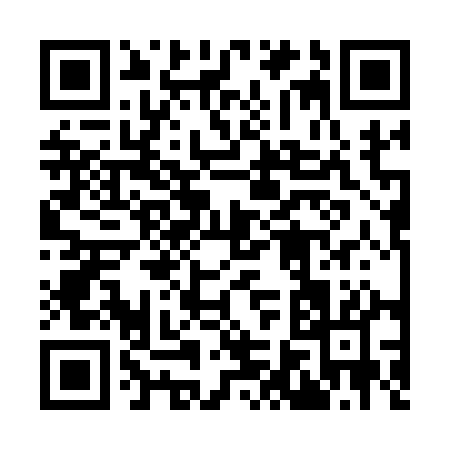 QR code for 96311