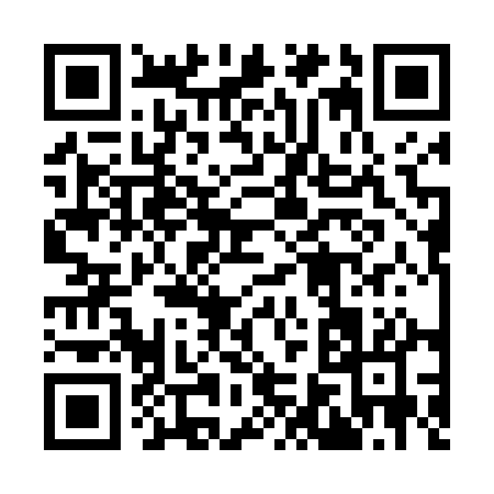 QR code for 96341
