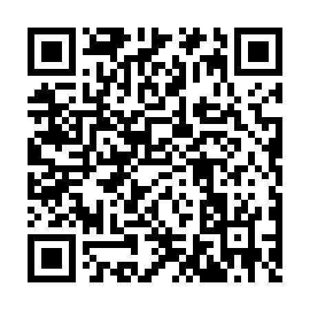 QR code for 96447