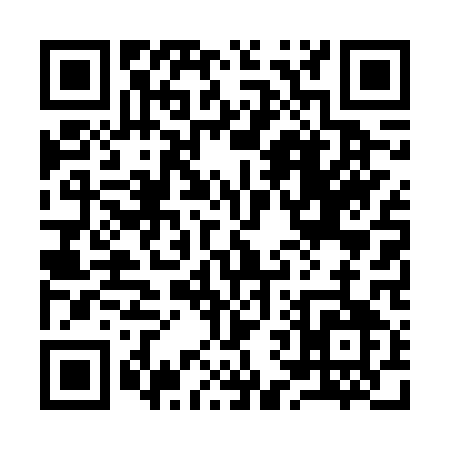 QR code for 9646Q