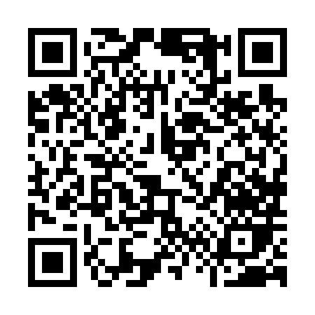 QR code for 96868
