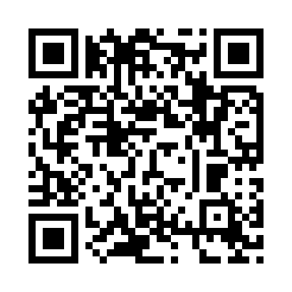 QR code for 96P