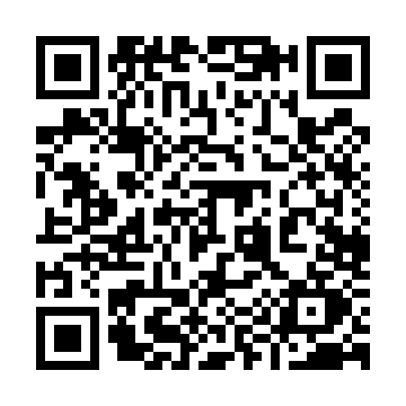 QR code for 9905