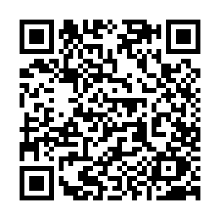 QR code for 9911
