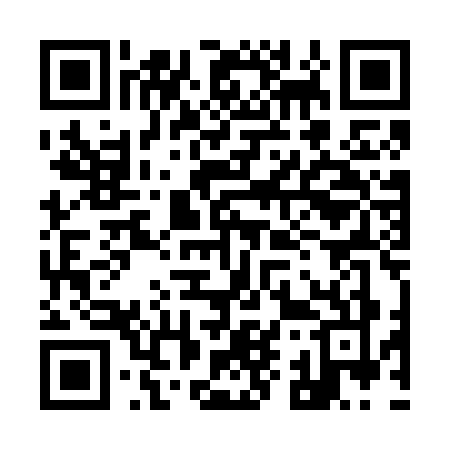 QR code for 991V