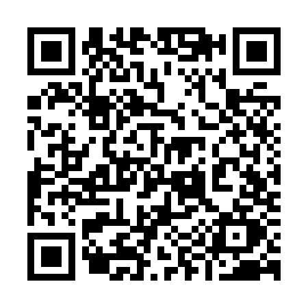 QR code for 993Z