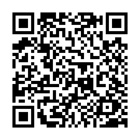 QR code for 996G