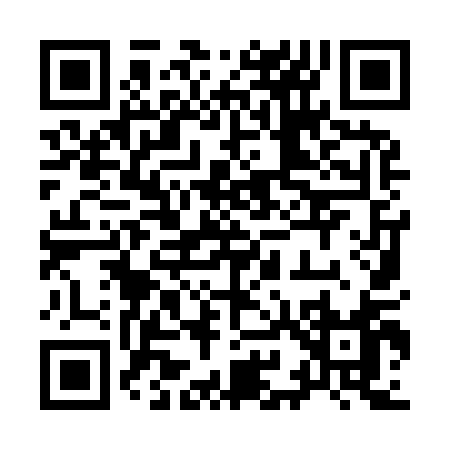 QR code for 99991