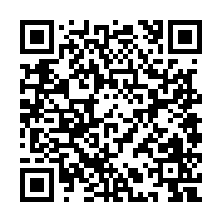 QR code for 9LV11