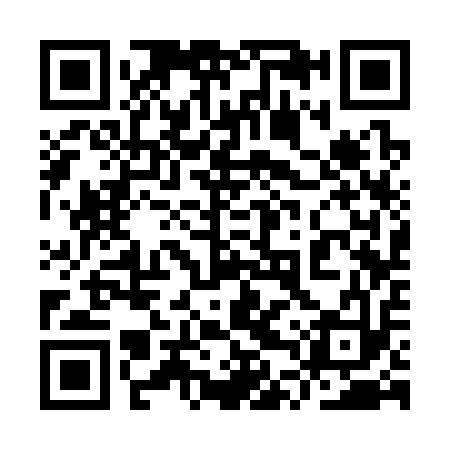 QR code for 9TS313