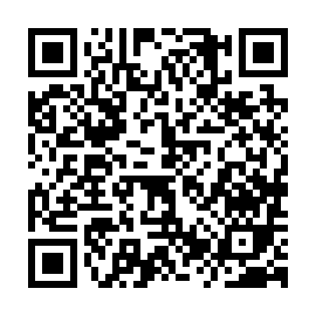 QR code for 9ZX29