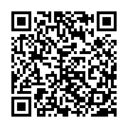 QR code for 9ZX868