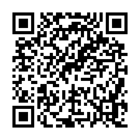 QR code for A393