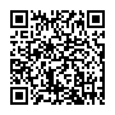 QR code for A4207