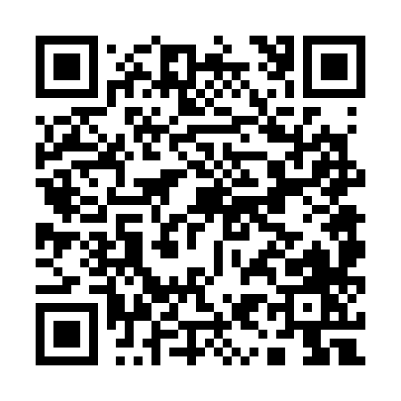 QR code for A9638