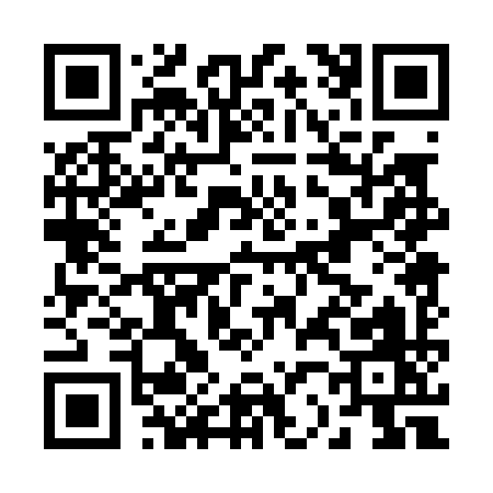 QR code for B2009