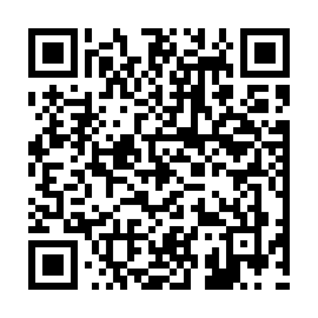 QR code for B335