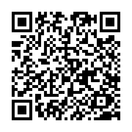 QR code for B384