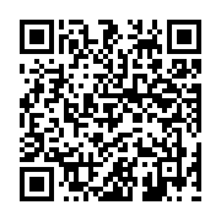 QR code for B393