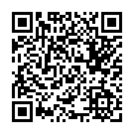 QR code for B5295