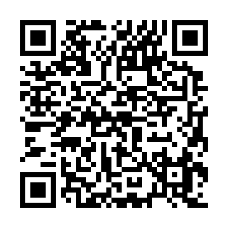 QR code for B9333