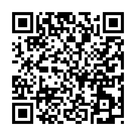 QR code for C0553