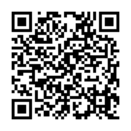 QR code for C1393