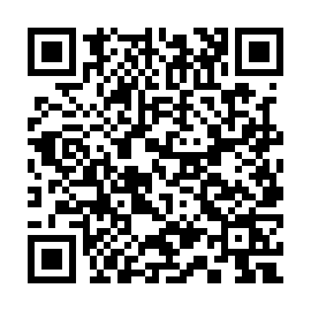 QR code for C161