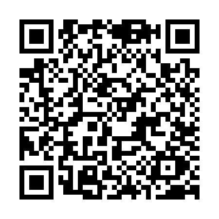QR code for C163