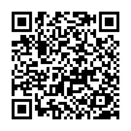 QR code for C251