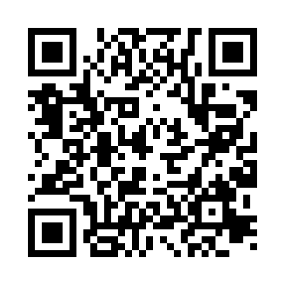 QR code for C95