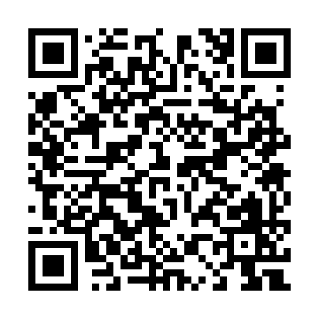 QR code for D0339